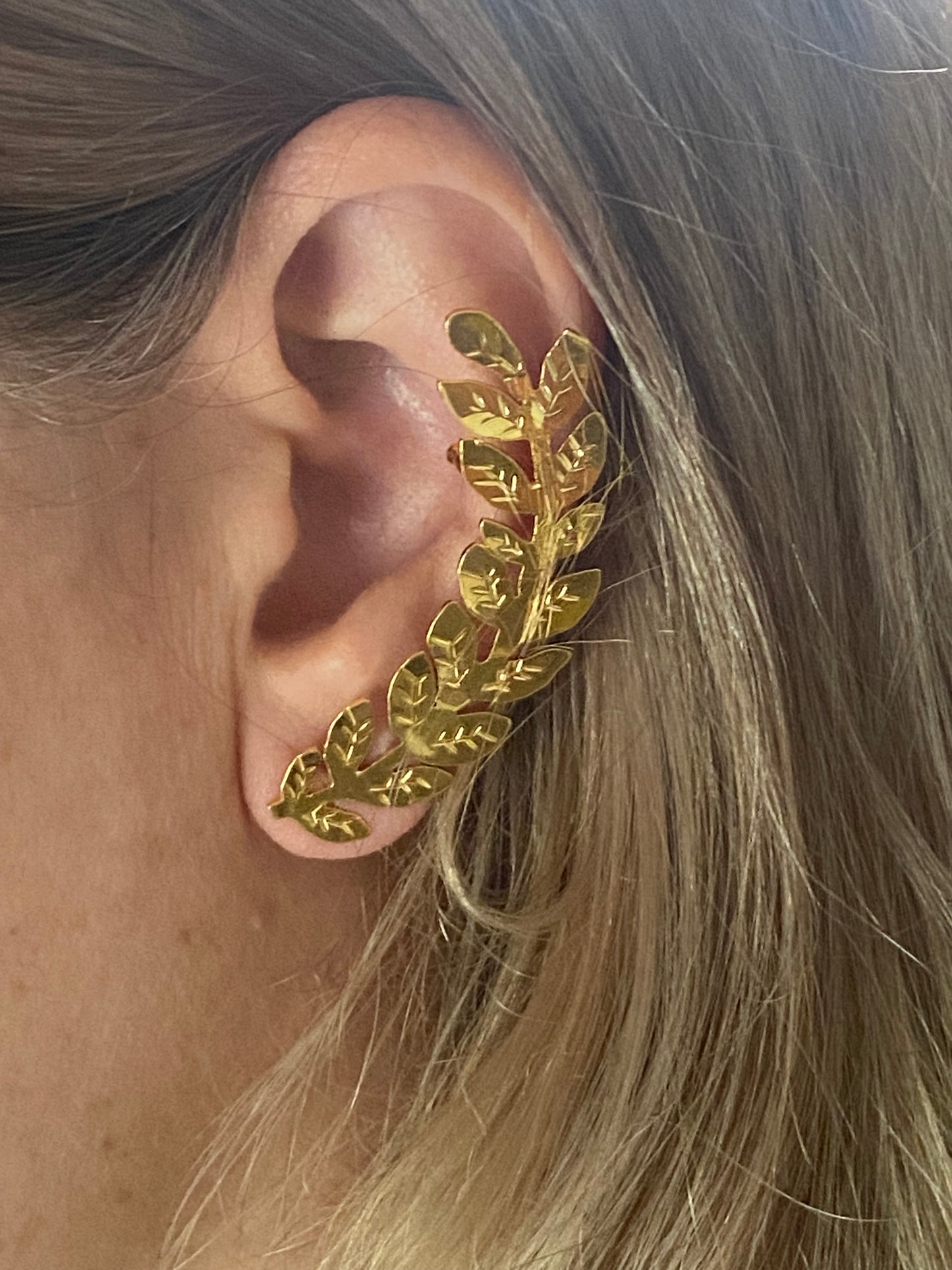 Topo y Esrcuff trepador hojas