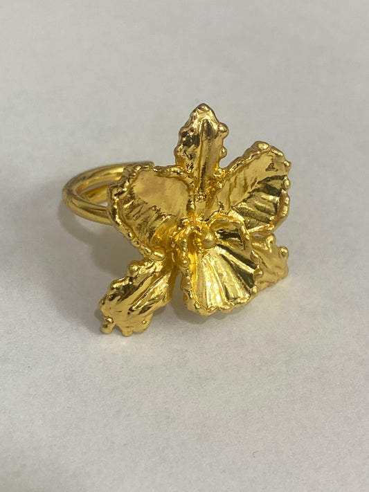 Anillo Orquídea