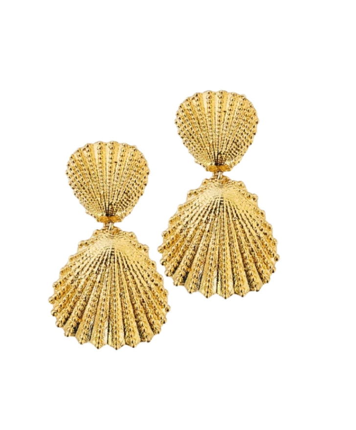 Aretes Concha Doble