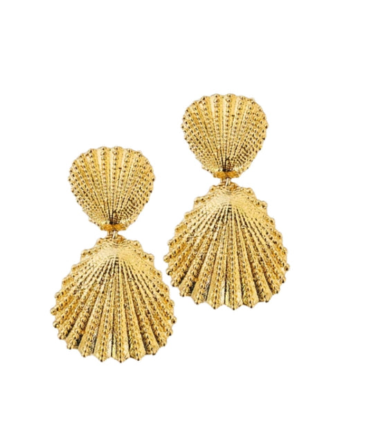 Aretes Concha Doble